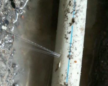 类乌齐卫生间测漏水多少钱